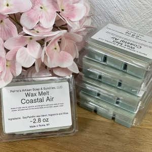 Coastal Air - Wax Melt