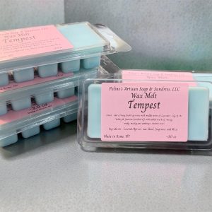 Tempest - Wax Melt